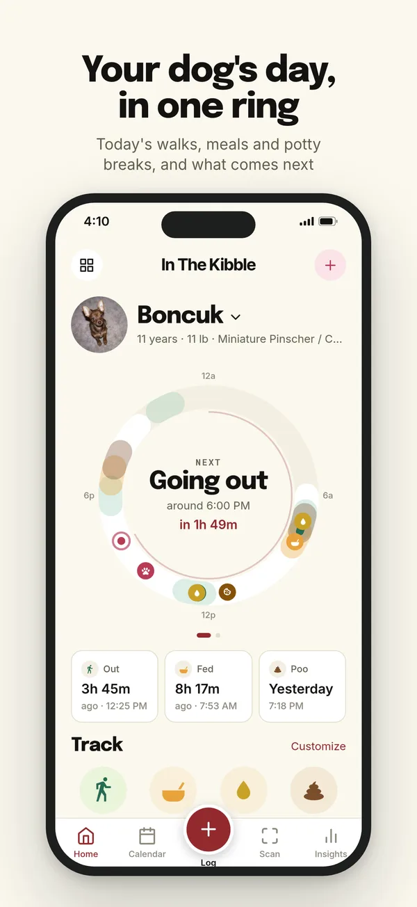 The app's Home screen: your dog's day on one ring, with what usually comes next