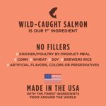 Instinct Be Natural Real Salmon & Brown Rice Recipe Dry Dog Food, photo 9