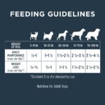 Instinct Raw Boost Grain-Free Recipe with Real Chicken for Senior Dogs Dry Dog Food, photo 10