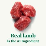 Nutro Natural Choice Healthy Weight Adult Lamb & Brown Rice Recipe Dry Dog Food, photo 11