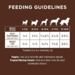 Instinct Original Grain-Free Recipe with Real Salmon Dry Dog Food, photo 17