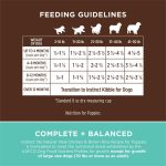 Instinct Be Natural Puppy Real Chicken & Brown Rice Recipe Dry Dog Food, photo 10