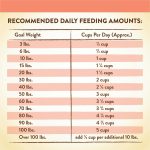 Merrick Limited Ingredient Diet Real Salmon & Brown Rice Recipe Dry Dog Food, photo 11