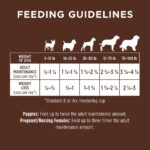 Instinct Be Natural Real Salmon & Brown Rice Recipe Dry Dog Food, photo 14