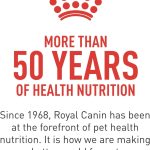 Royal Canin Small Dental Care Dry Dog Food, photo 4