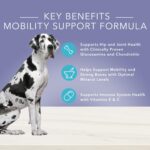 Blue True Solutions Jolly Joints Mobility Support Formula Dry Dog Food, photo 4