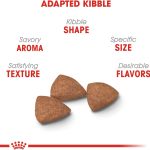 Royal Canin Small Indoor Adult Dry Dog Food, photo 3