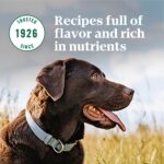 Nutro Natural Choice Adult Chicken & Brown Rice Recipe Dry Dog Food, photo 9