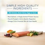 Blue Basics Limited Ingredient Diet Adult Dog Grain-Free Salmon and Potato Recipe Dry Dog Food, photo 5