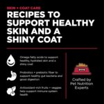 Go! Solutions Skin + Coat Care Lamb Recipe Dry Dog Food, photo 11