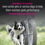 Eukanuba Premium Performance 26/16 Exercise Dry Dog Food, photo 5