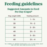 Nutro Natural Choice Small Bites Adult Lamb & Brown Rice Recipe Dry Dog Food, photo 9