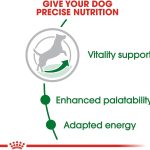 Royal Canin Small Adult 8+ Dry Dog Food, photo 3