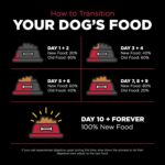 Go! Solutions Skin + Coat Care Lamb Recipe Dry Dog Food, photo 14