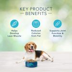 Blue Freedom Adult Grain-Free Healthy Weight Chicken and Potatoes Recipe Dry Dog Food, photo 6