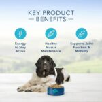 Blue Life Protection Formula Large Breed Senior Chicken and Brown Rice Recipe Dry Dog Food, photo 5