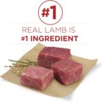 Purina One SmartBlend Adult Dog Lamb & Rice Formula Dry Dog Food, photo 11