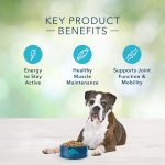 Blue Freedom Senior Grain-Free Chicken Recipe Dry Dog Food, photo 6