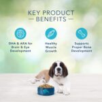Blue Freedom Large Breed Puppy Grain-Free Chicken Recipe Dry Dog Food, photo 7