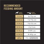 Purina Pro Plan Adult 7+ Complete Essentials Shredded Blend Chicken & Rice Formula Dry Dog Food, photo 9