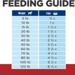 Hill’s Prescription Diet g/d Aging Care Chicken Flavor Dry Dog Food, photo 11