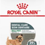 Royal Canin Small Dental Care Dry Dog Food, photo 2