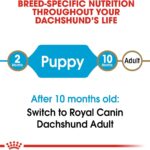 Royal Canin Dachshund Puppy Dry Dog Food, photo 5