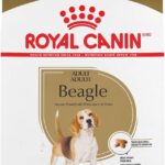 Royal Canin Beagle Adult Dry Dog Food, photo 2