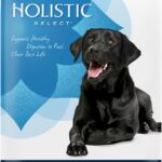 Holistic Select Adult Health Anchovy & Sardine And Salmon Meal Recipe Dry Dog Food, photo 3