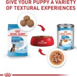 Royal Canin Large Puppy Dry Dog Food, photo 7
