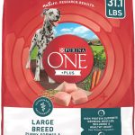 Purina One SmartBlend Large Breed Puppy Formula Premium Dry Dog Food
