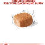 Royal Canin Dachshund Puppy Dry Dog Food, photo 3