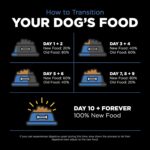 Go! Solutions Skin + Coat Care Chicken Recipe Dry Dog Food, photo 14