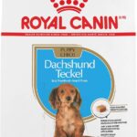 Royal Canin Dachshund Puppy Dry Dog Food, photo 2