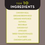 AvoDerm Senior Chicken Meal & Brown Rice Formula Dry Dog Food, photo 10