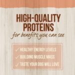 Merrick Healthy Grains Real Salmon + Brown Rice Recipe with Ancient Grains Dry Dog Food, photo 8