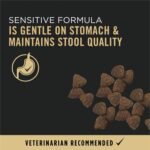 Purina Pro Plan Adult Sensitive Skin & Stomach Salmon & Rice Formula Dry Dog Food, photo 8