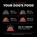 Go! Solutions Sensitivities Limited Ingredient Grain-Free Salmon Recipe Dry Dog Food, photo 13