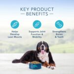 Blue Life Protection Formula Adult Large Breed Chicken and Brown Rice Recipe Dry Dog Food, photo 5