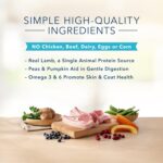 Blue Basics Limited Ingredient Diet Adult Grain-Free Lamb and Potato Recipe Dry Dog Food, photo 5