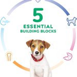 Hill’s Science Diet Puppy Small Bites Chicken & Barley Recipe Dry Dog Food, photo 5