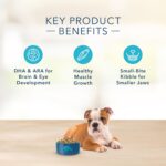 Blue Basics Limited Ingredient Diet Puppy Turkey and Potato Recipe Dry Dog Food, photo 5