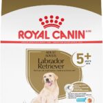 Royal Canin Labrador Retriever Adult 5+ Dry Dog Food, photo 2