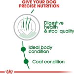 Royal Canin Small Indoor Adult Dry Dog Food, photo 5