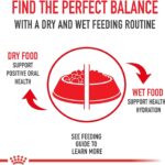 Royal Canin French Bulldog Puppy Dry Dog Food, photo 6