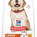 Hill’s Science Diet Puppy Large Breed Chicken Meal & Oats Recipe Dry Dog Food