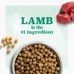 Nutro Limited Ingredient Diet Grain-Free Small Bites Adult Lamb & Sweet Potato Recipe Dry Dog Food, photo 4
