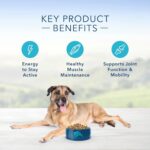 Blue Life Protection Formula Senior Chicken and Brown Rice Recipe Dry Dog Food, photo 6