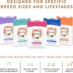 Nutro Ultra Puppy Dry Dog Food, photo 12
