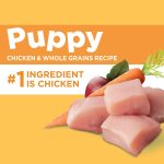 Iams Puppy Dry Dog Food, photo 15